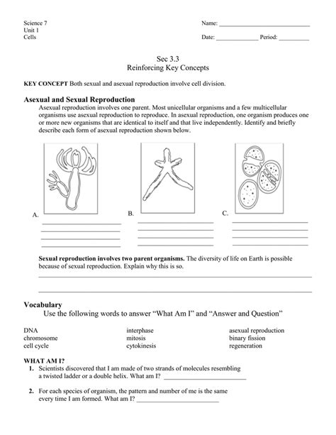 Give examples for plants reproduce by both with seeds and without seeds. . Content practice a lesson 2 asexual reproduction answer key